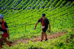 BIB: 
                            <button type="button" onclick="openModal(19162988)" class="btn btn-primary btn-sm float-right btn-popup" data-toggle="modal" data-target=".modal-high-quality">
                        <i class="fas fa-shopping-cart"></i> Add to Cart
                    </button>
                                            <button type="button" onclick="isThisMe(19162988, true)" class="btn btn-success btn-sm float-right btn-popup btn-isme hidden" data-toggle="tooltip" data-placement="bottom" title="นี่คือรูปของคุณใช่ไหม คลิกที่นี่เพื่อเอาเข้าอัลบั้ม">
                        <i class="fas fa-plus"></i> Add to album
                    </button>
                    <button type="button" onclick="isThisMe(19162988, false)" class="btn btn-warning btn-sm float-right btn-popup btn-isnotme hidden">
                        <i class="fas fa-ban"></i> Remove from album
                    </button>